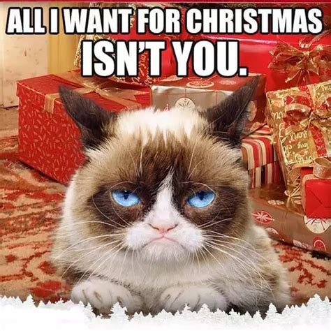 The first step in learning how to make memes is knowing what they are. Grumpy Cat Christmas Meme 005 all i want for christmas | | Grumpy cat humor, Grumpy cat