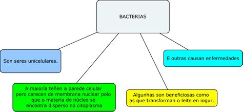 Mapa Mental De Las Bacterias Desaro Images And Photos