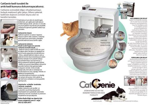 Catgenie Self Flushing Cat Box Self Washing And Auto Cleaning Litter Box