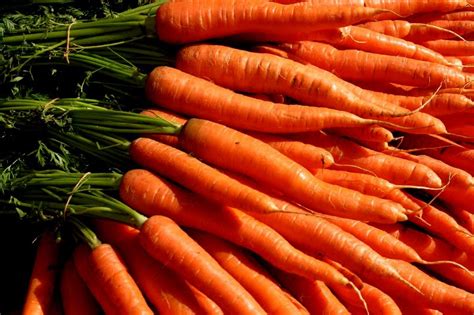 Uncover and cook for 3 to 4 minutes, stirring. Fanatic Cook: Carrots For The Colon