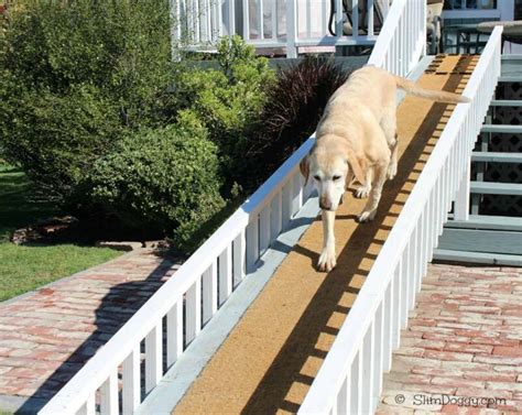 Pet Ramp For Stairs Outside Pets Animals Us
