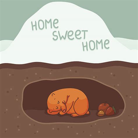 Burrow Illustrations Royalty Free Vector Graphics And Clip Art Istock