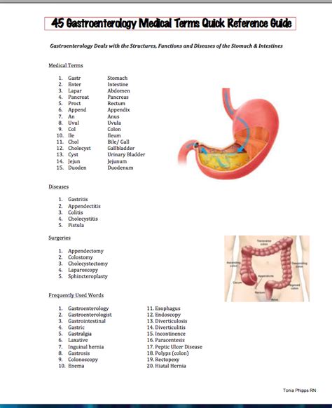 Peptic ulcers can affect anywhere in the digestive system. Easy Medical Terminology 2.0: Gastroenterology Free PDF ...