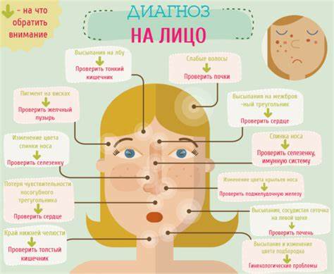 Что кушать чтобы похудели ноги и бедра