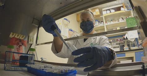 Studying Covid 19 Csu Biobank Researchers Hope To Answer Questions