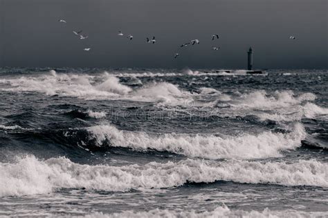 Baltic Sea In Stormy Weather Stock Image Image Of High Huge 88476683