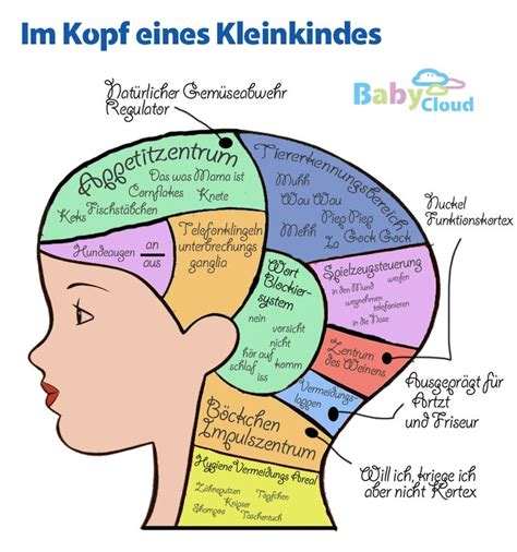 Kursbeantragung für das wintersemester (ws) ab anfang. Pin auf Familien Spaß