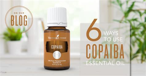 Making an exclusive essential rewards monthly order? Copaiba Essential Oil Uses & Benefits | Young Living Blog