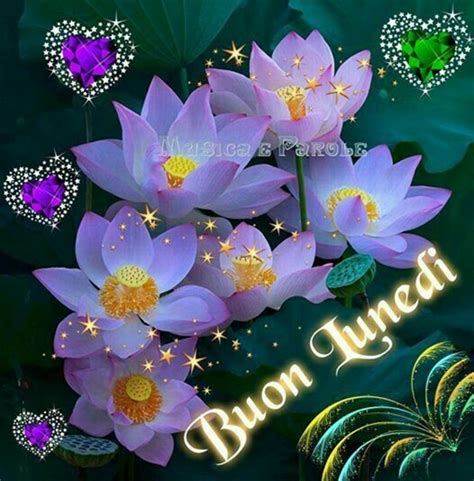 Le immagini più belle per augurare una buon lunedì le trovi qui! Buongiorno e Buon Lunedì nel 2020 | Buon lunedi, Lunedi ...