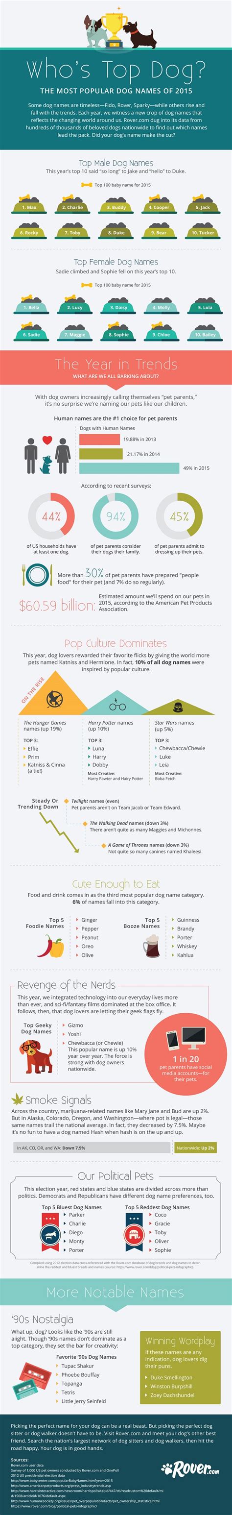These are the most popular dog names of 2015 | PGH - Pets Grooming Hotel