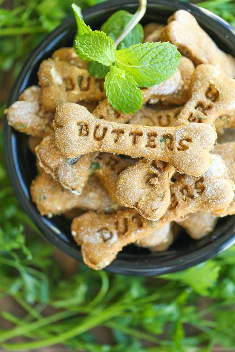 You can even make homemade biscuits that help treat itchy skin. Dog Treat Recipes for Thanksgiving