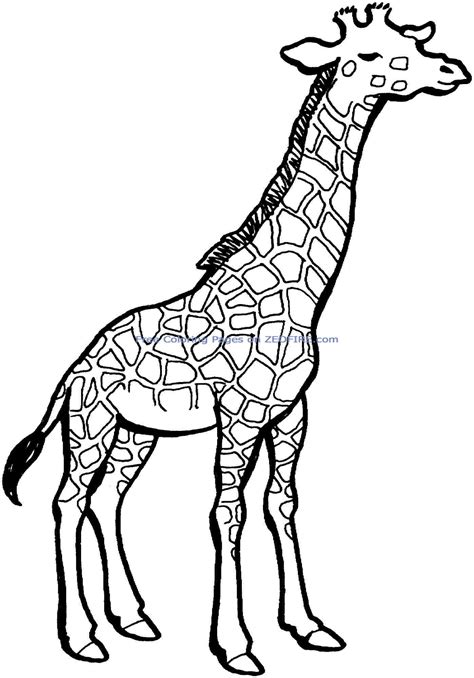 Giraffe Coloring Pages Free Download On Clipartmag