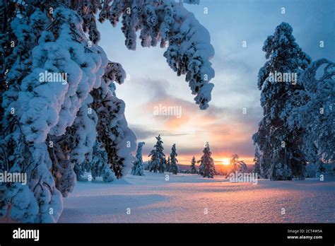 Beautiful Winter Wonderland Landscape With Snow Covered Trees And