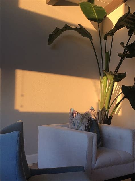 Pin by Kendall Huggins on Aesthetic in 2020 | Plants, Aesthetic, Calm