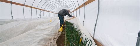 Excited about our first ever broccoli harvest tomorrow!! Row Covers | Johnny's Selected Seeds