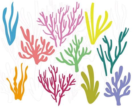 Coral And Seaweed Svg Bundle Underwater Cut Files Ocean Etsy