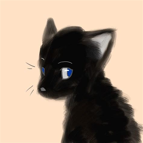 Black Cat Blue Eyes By Dashingspirit On Deviantart