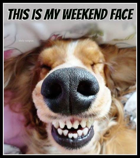 This Is My Weekend Face Pictures Photos And Images For Facebook