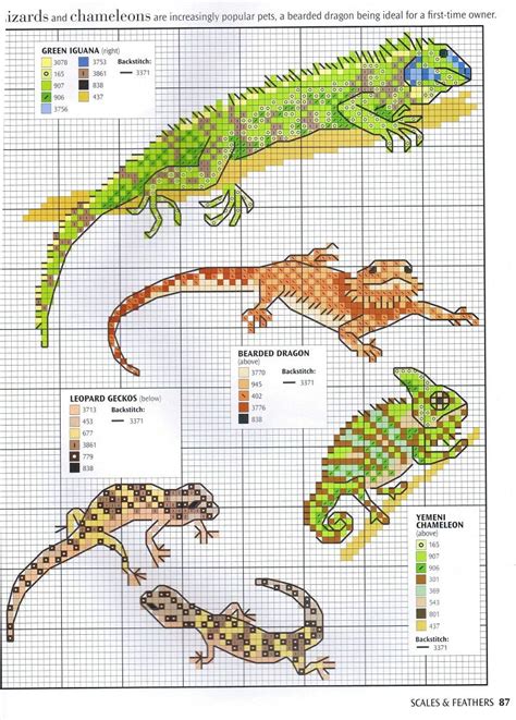 Explore a wide range of the if you're searching for cross stitch dragon bulk deals, then aliexpress would have them! Beardie pattern | Dragon cross stitch, Counted cross ...