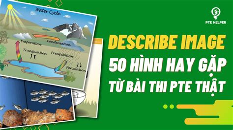 Pte Describe Image Repeated Questions 50 Hình Thường Gặp