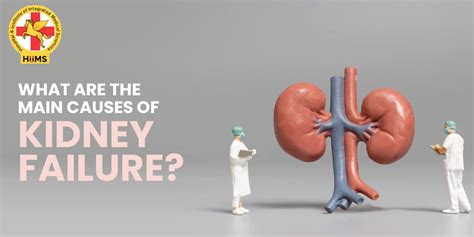Causes Of Kidney Failure Types Symptoms And Solutions
