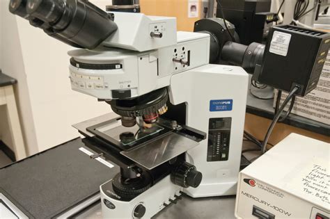 Olympus Bx 51 Fluorescence Microscope 2nd Floor Cnf Users