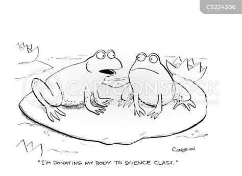 Dissection Cartoons Humor From Jantoo Cartoons