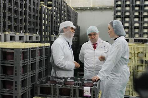 Si te interesa hoy cocinas tú y los. JUMILLA / El Canal Cocina emite mañana miércoles el ...