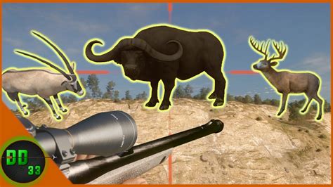 Best Bolt Action Big Game Hunting Rifles