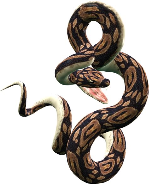 Python Logo PNG Transparent Python Logo.PNG Images. | PlusPNG
