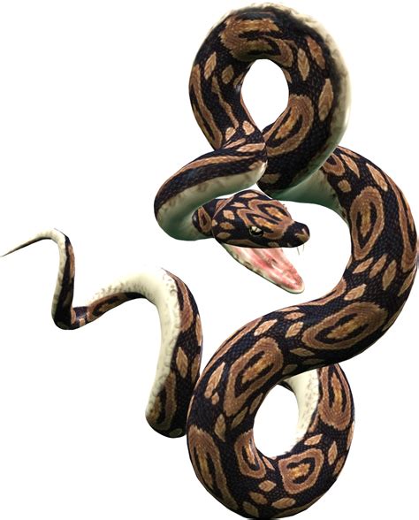 Ball Python Png Png Image Collection