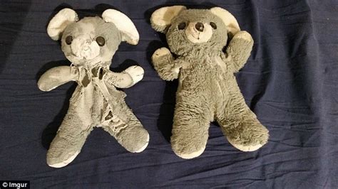 Adults Compare Their Old Childhood Teddy Bears With New Versions