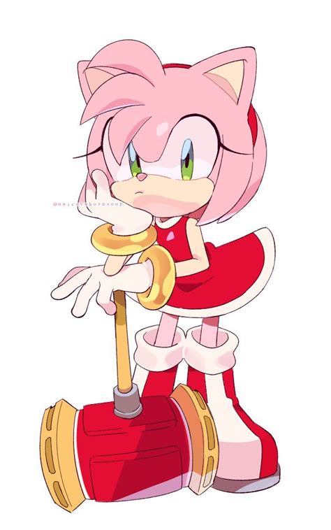 𝘿𝙄𝙉𝙂𝘼 On Twitter Amy Rose Amy The Hedgehog Sonic And Amy