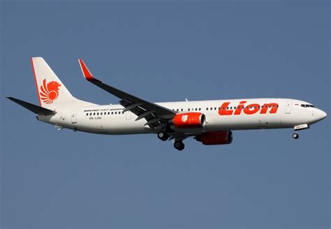 A Venomous Scorpion Was Found Crawling On A Lion Air Flight And