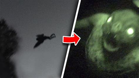 10 Terrifying Creatures Caught On Camera Youtube