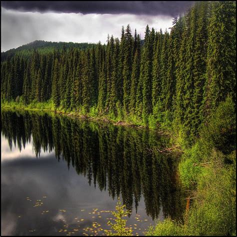 Deep View Cool Landscapes Canadian Forest Scenery