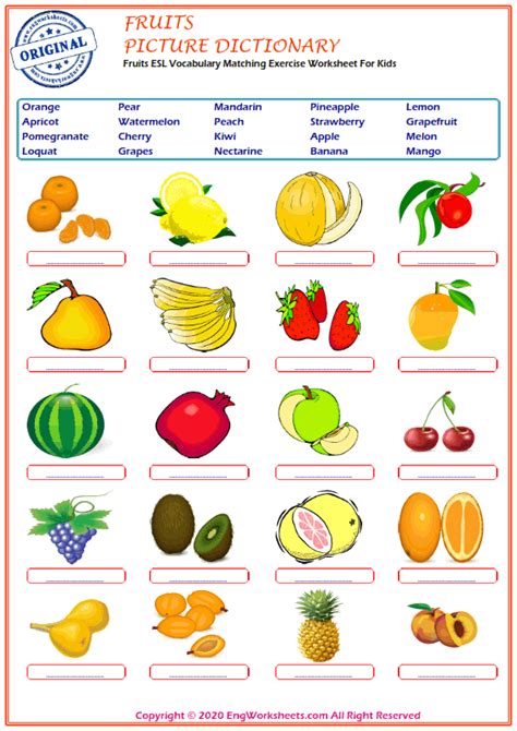 Fruits Printable English Esl Vocabulary Worksheets 1 Engworksheets