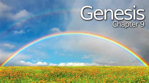 Chapter Summaries: Genesis Chapter 9 Summary | Bible Study Ministry