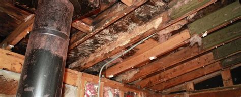 A Leaking Roof Is A Serious Matter Findlay Roofing