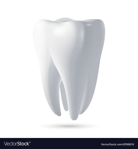 Tooth 3d Render Royalty Free Vector Image Vectorstock