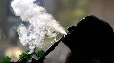 lawyer prepares to challenge toronto hookah smoking ban cbc news