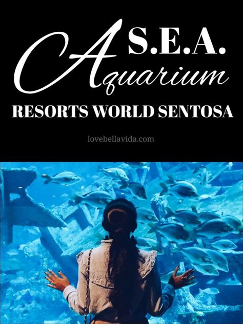 Sea Aquarium At Resorts World Sentosa Resort World Vida