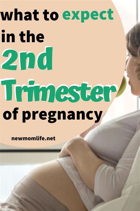 Pin On Pregnancy Tips And Advice