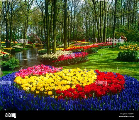 Keukenhof Gardens Lisse Near Amsterdam Holland Stock Photo Alamy