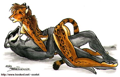 Rule 34 1997 Amara Telgemeier Anthro Badger Couple Feline Female Fur Furry Male Mammal