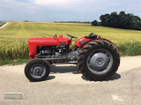 Massey Ferguson 35 X Traktor, 4971 Aurolzmünster - technikboerse.com