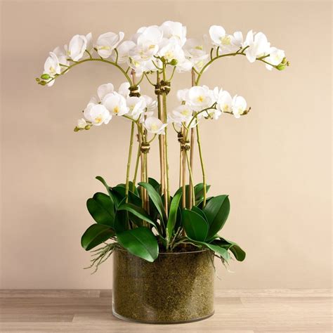Silk Orchid Arrangement In Glass Vase Faux Orchid Centerpiece For Dining Room Table Orchid Table