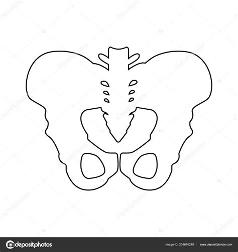Silhouette Of Pelvis Icon Outline Element Vector Illustration Of Hip
