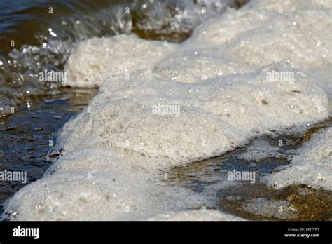 Sea Foam Is Created By The Agitation Of Seawater When It Contains