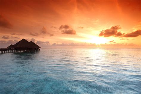 Check spelling or type a new query. Sunset Jetty Wallpaper | Scenic Design | MuralsWallpaper | Beach wall murals, Beach mural, Sunset